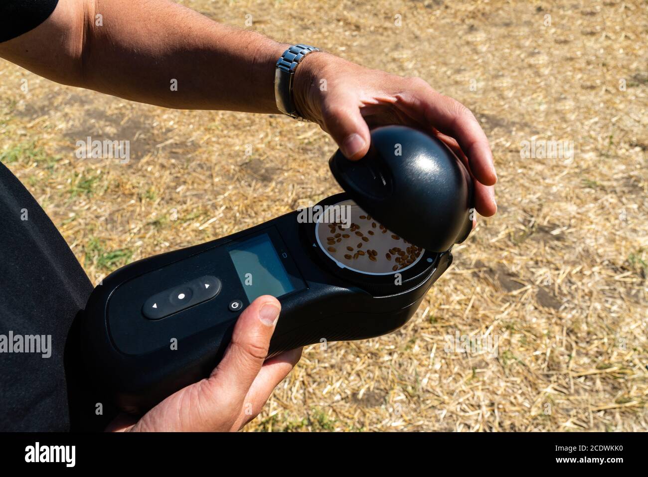 Mobile device for measuring the parameters of grain in the harvest. Smart farming and precision agriculture Stock Photo