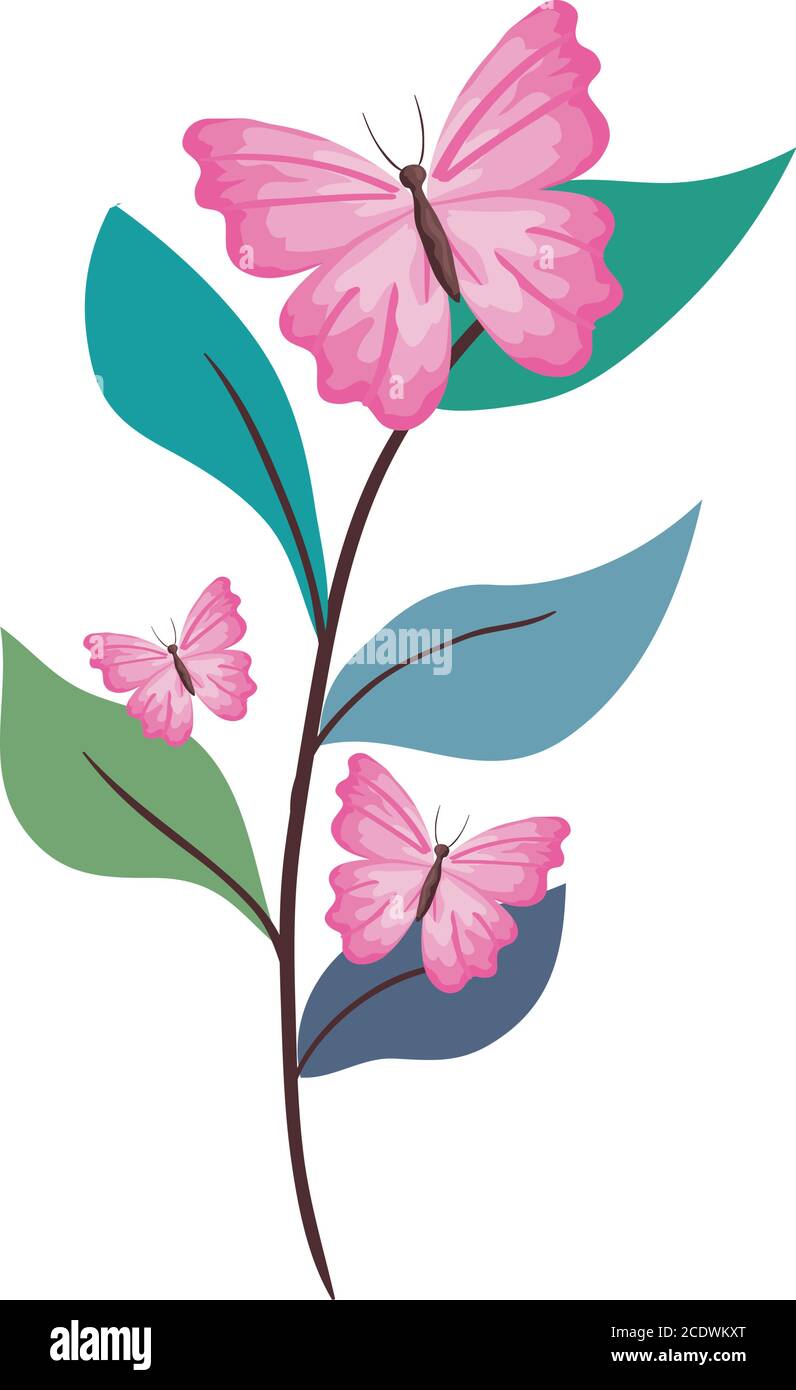 pink butterfles on leaves vector design Stock Vector Image & Art - Alamy