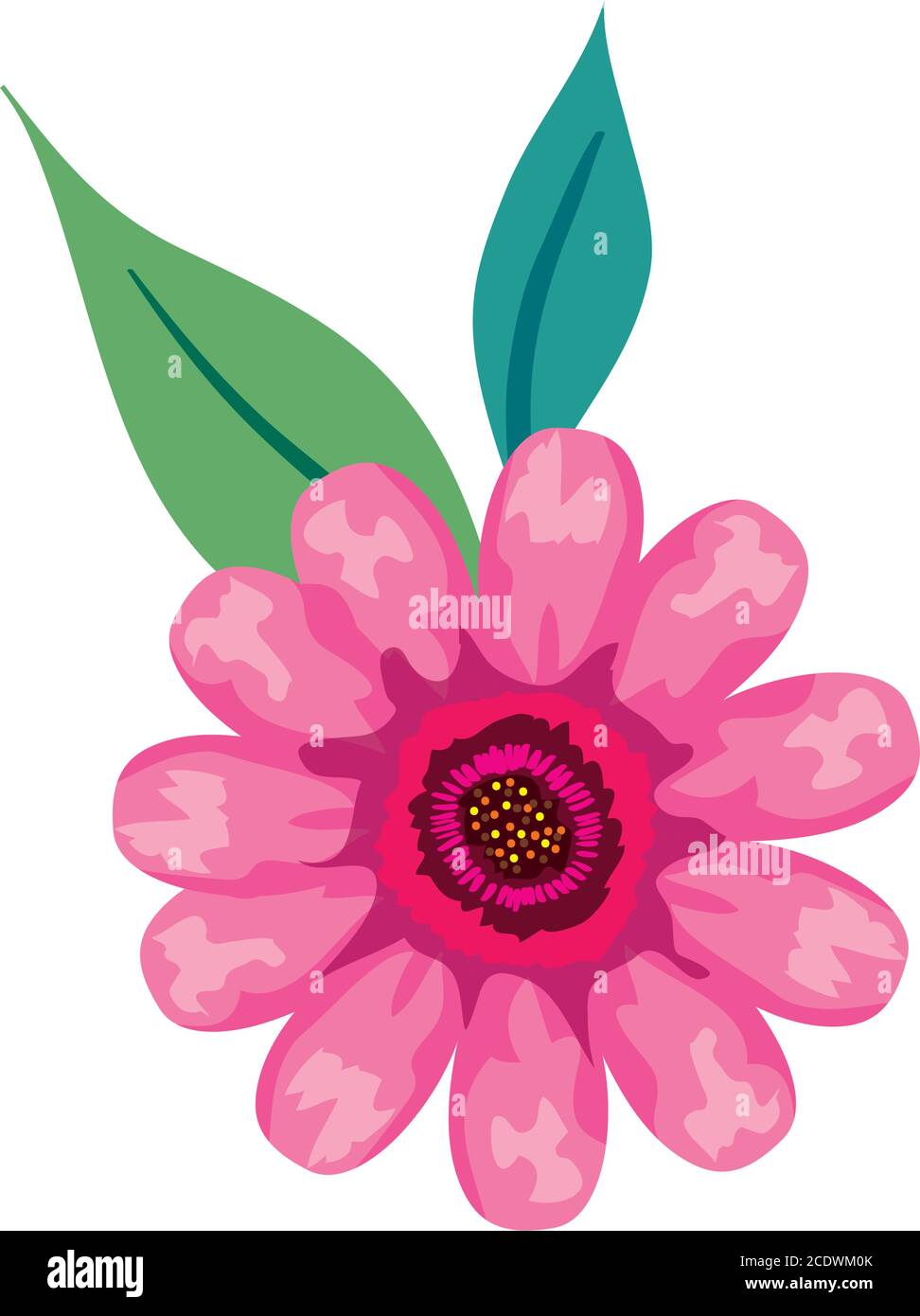 pink flower drawing with leaves vector design Stock Vector Image & Art