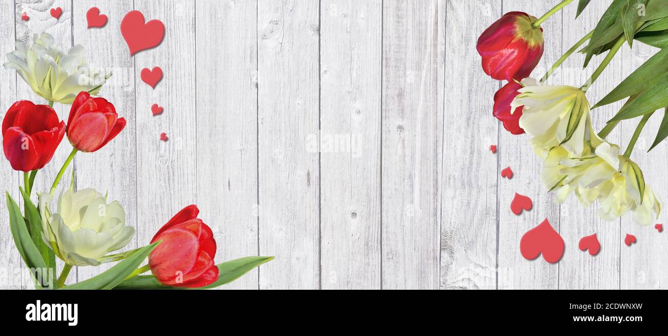 Beautiful spring frame with red and yellow-white tulips and hearts on white wooden background Stock Photo