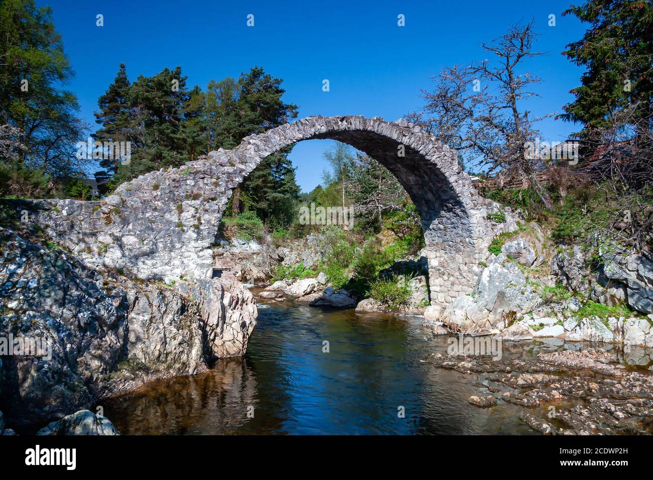 Old Packhorse Bridge, Carrbridge, Scotland Stock Photo