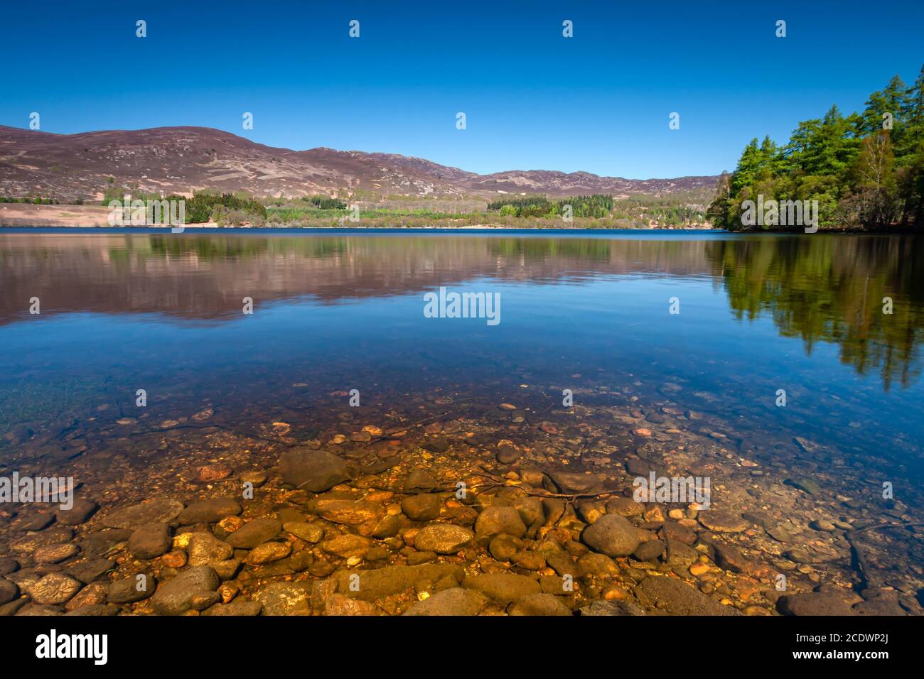 Loch Alvie, near Aviemore, Scotland Stock Photo