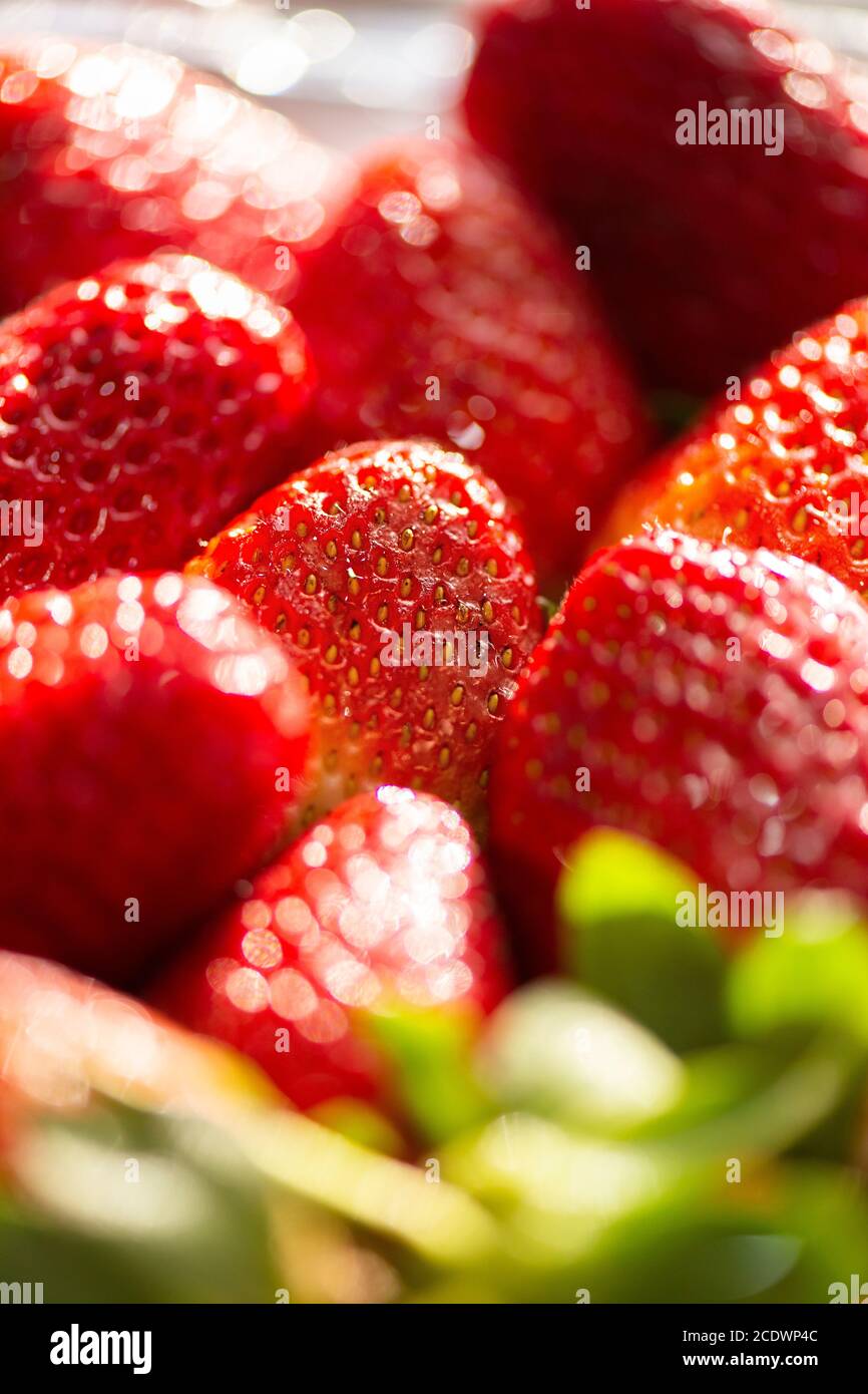 Detailed closeup texture macro photo of strawberries, food background ...