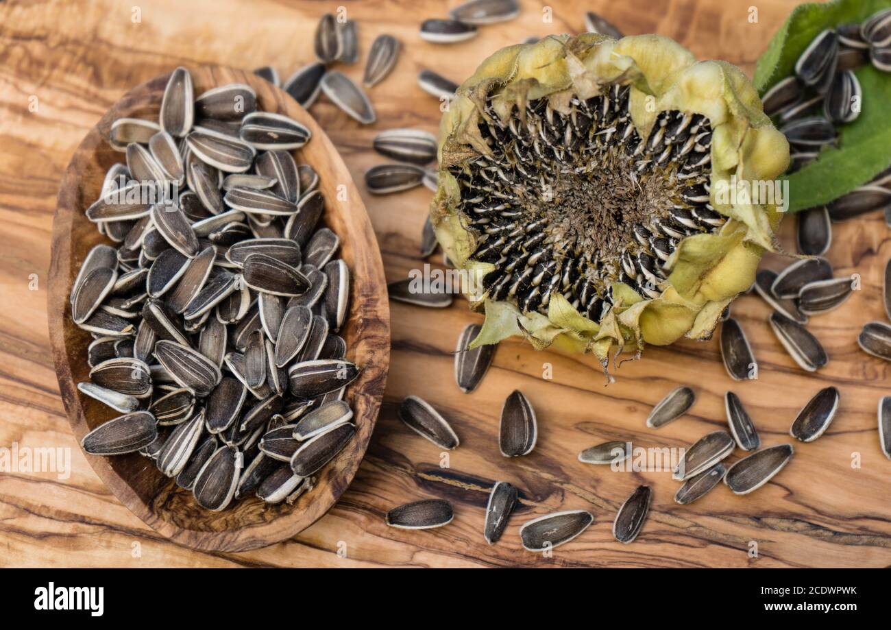 a pile of fresh sunflower seeds Stock Photo - Alamy