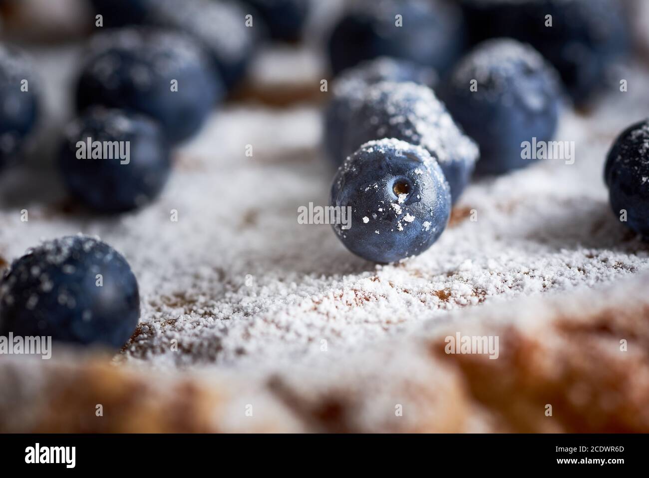 Blueberry Pie Stock Photo
