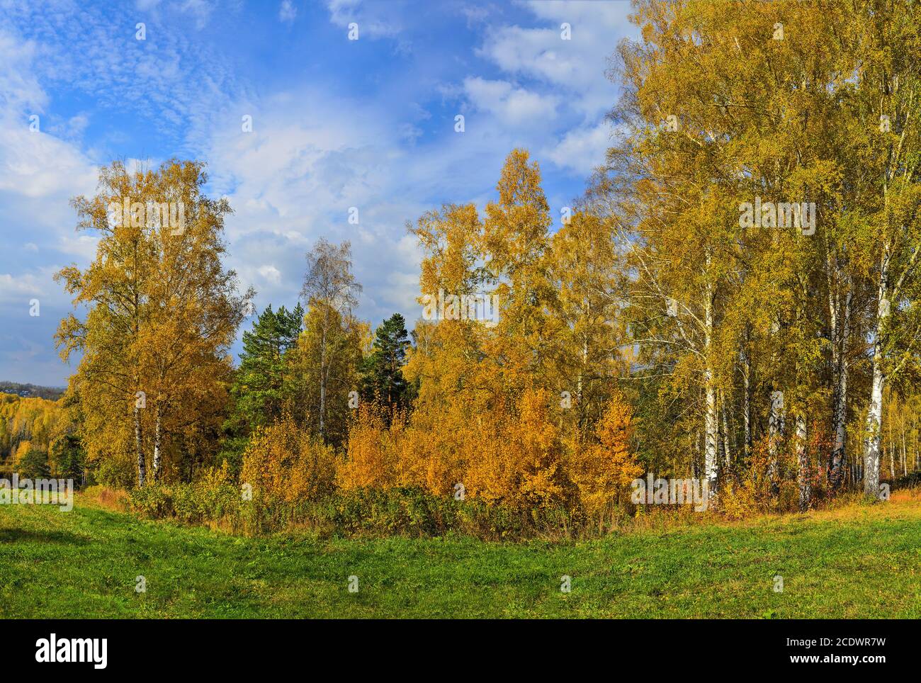 Picturesque autumn landscape in golden autumn forest on hill Stock ...