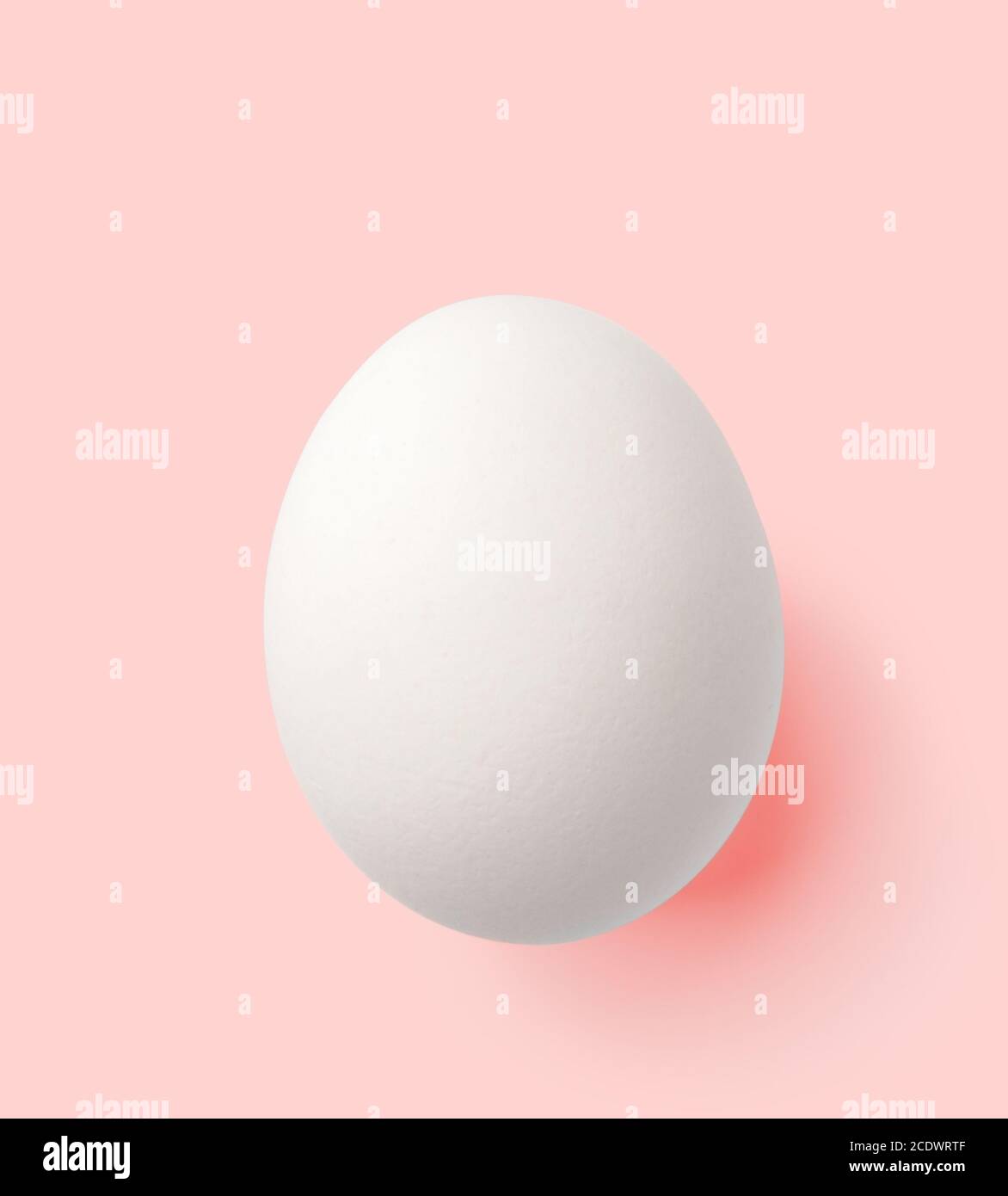 white egg isolated on pink with clipping path Stock Photo
