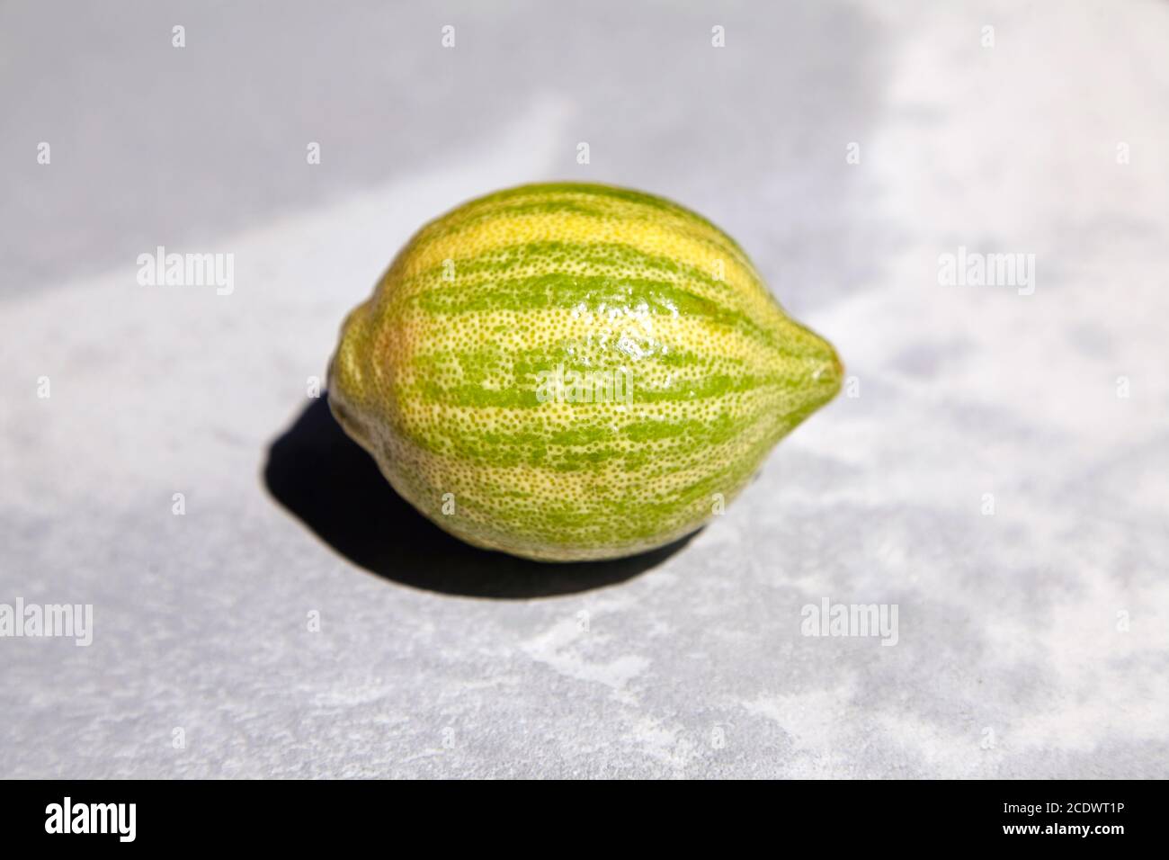 Striped lemon, Variegated pink lemon or pink-fleshed Eureka lemon on gray concrete table. Citrus fruit Stock Photo