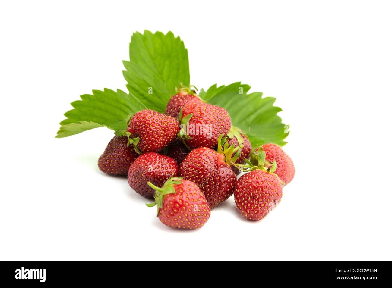 Strawberries with green leaves isolated on white background. Red ripe ...