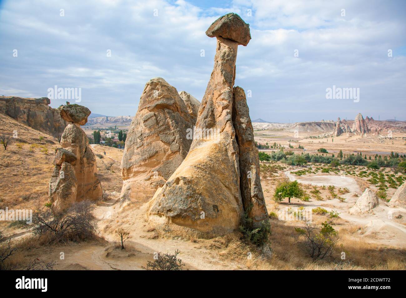 Cappadocia, Turkey. Rock Mushroom Stock Photo