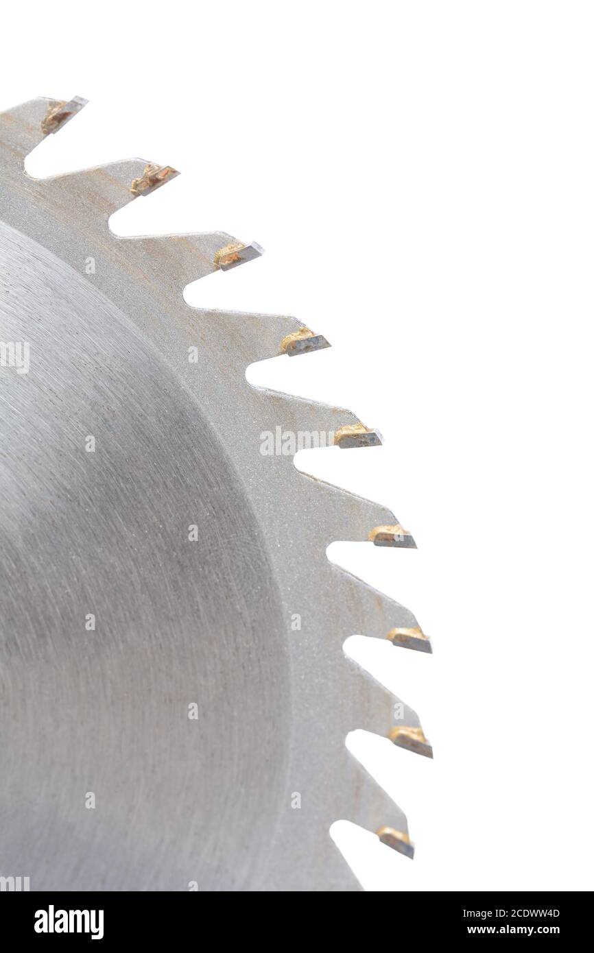 Many saw teeth of circular saw on white background Stock Photo