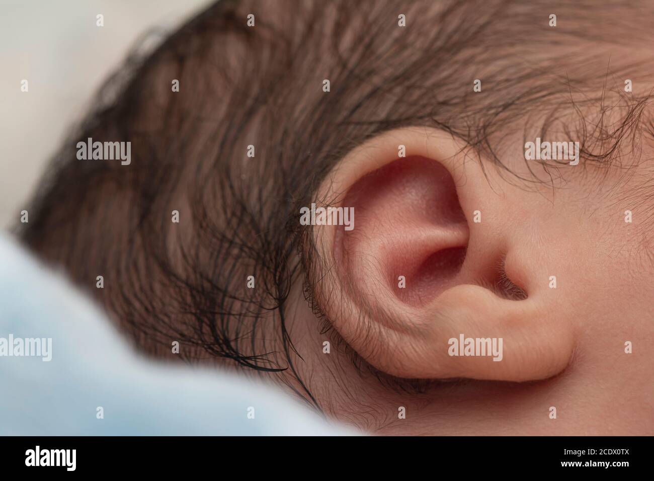 Development ear hires stock photography and images Alamy