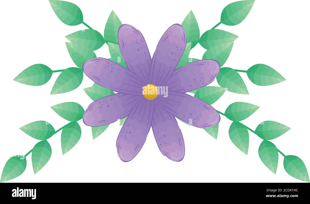 purple flower with leaves vector design Stock Vector Image & Art - Alamy