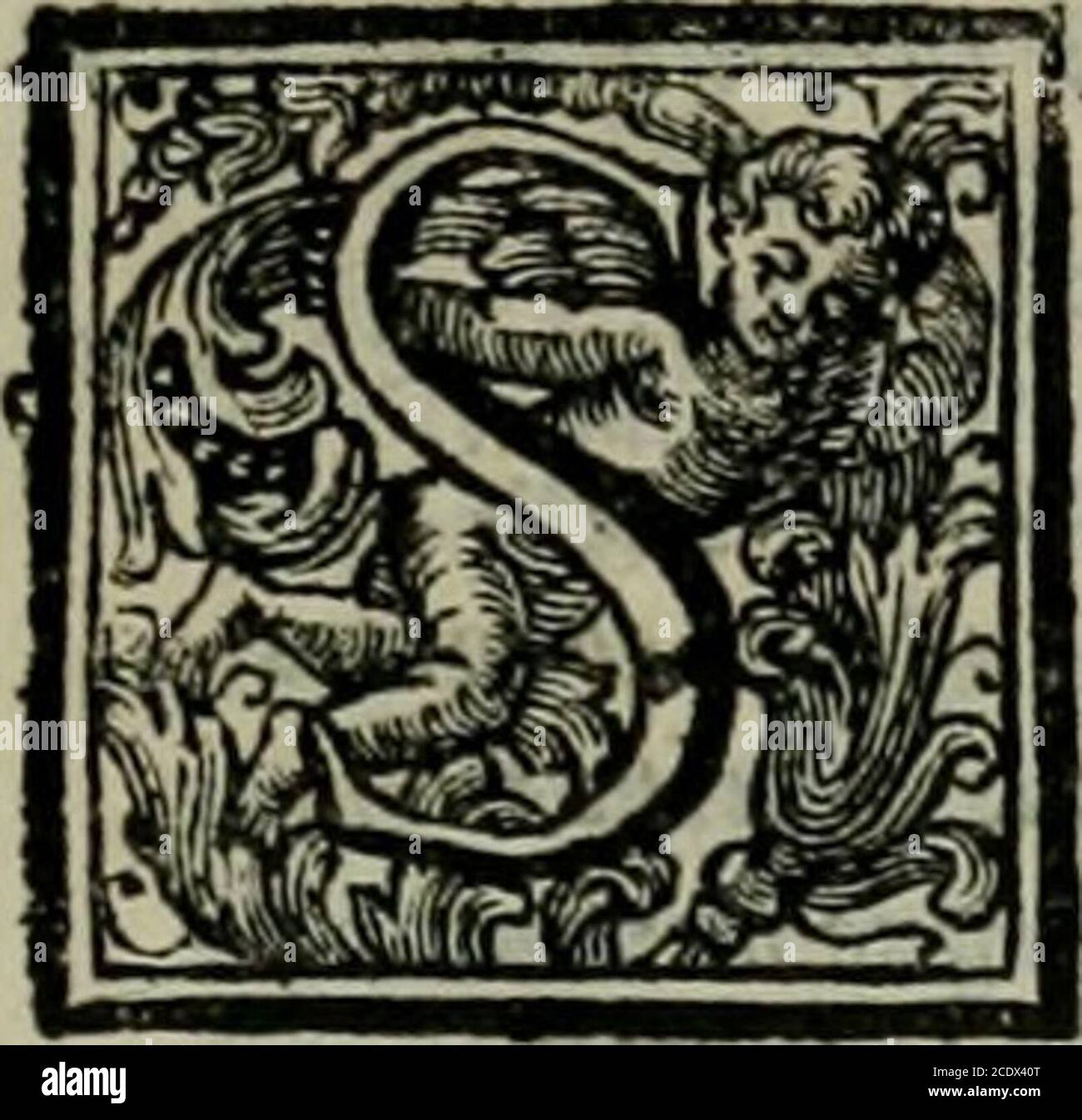 Page 4 M J N High Resolution Stock Photography And Images Alamy