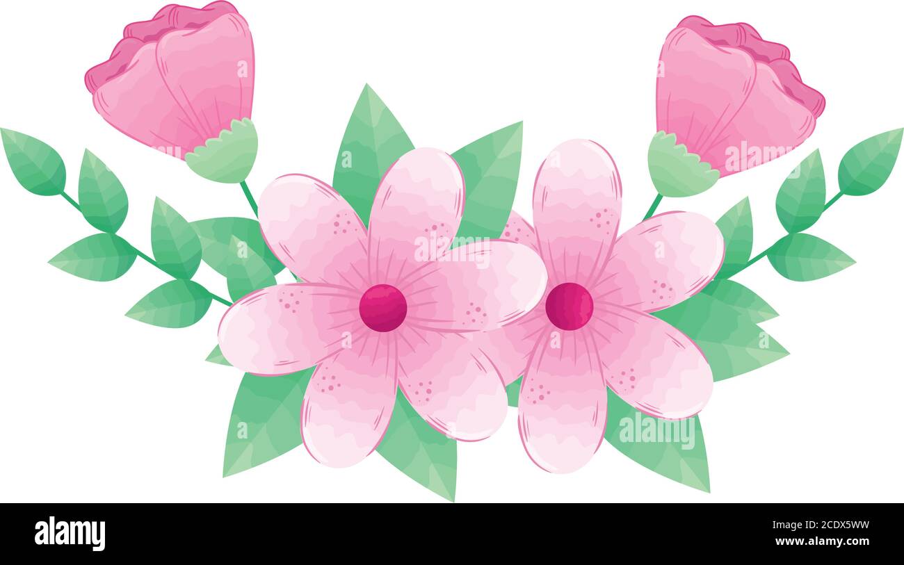 pink flowers with leaves vector design Stock Vector Image & Art - Alamy