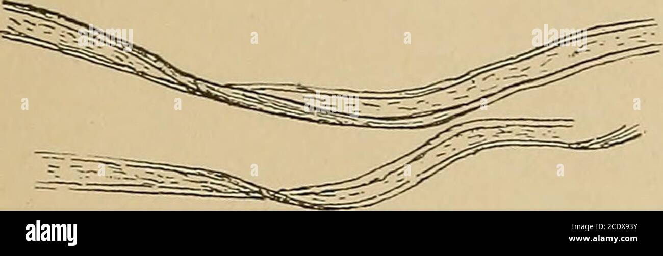 . Public health laboratory work, including methods employed in