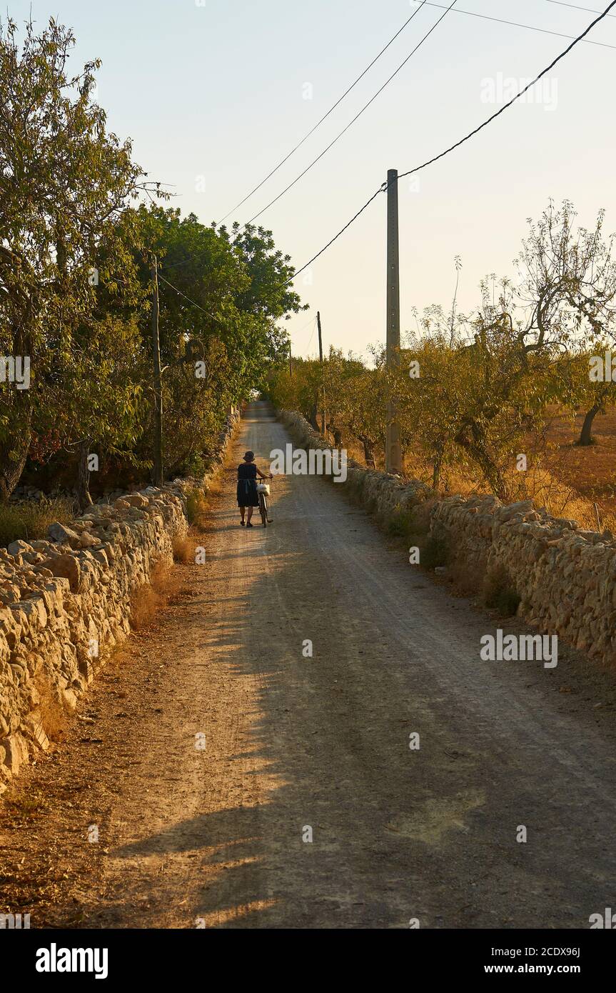 Local peasant old woman with her bike in a rural path in the countryside near s’Alquería Blanca at sundown (Santanyí, Majorca, Balearic Islands,Spain) Stock Photo