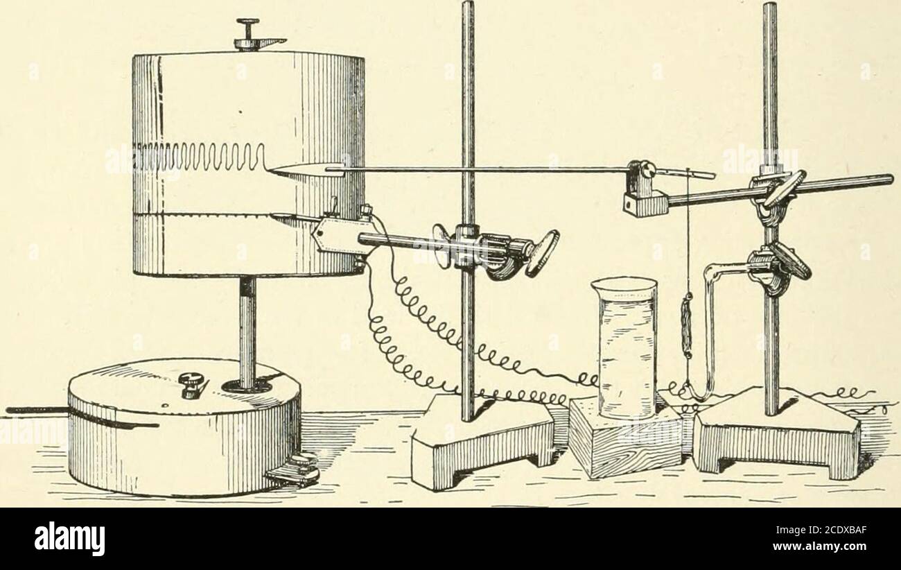 . Kirkes' handbook of physiology . with the primary coil in-stead of the key, K, figure 351. Stimulate the muscle at a rate of 10 per 500 MUSCLE-NERVE PHYSIOLOGY second, record the contractions on the drum moving at a speed of about2 cm. per second. Use care not to overfatigue the muscle, i.e., stimulateit only 2 or 3 seconds at a time. Repeat this test, increasing the rate of stimu-lation each time by 5, that is, stimulate at 10, 15, 20, etc., per second. In thefirst stimulus there will be a series of simple contractions with almost com-plete intervening relaxations. As the rate is increased Stock Photo