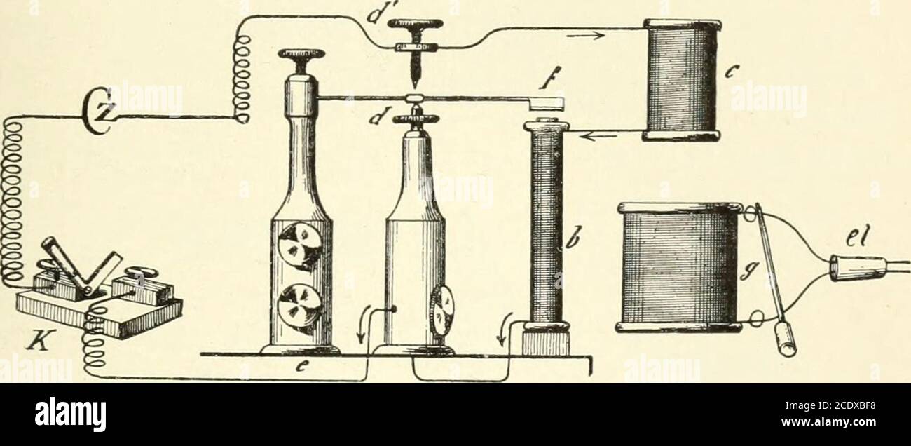 . Kirkes' handbook of physiology . ort copperwire hooks. Lay the nerve