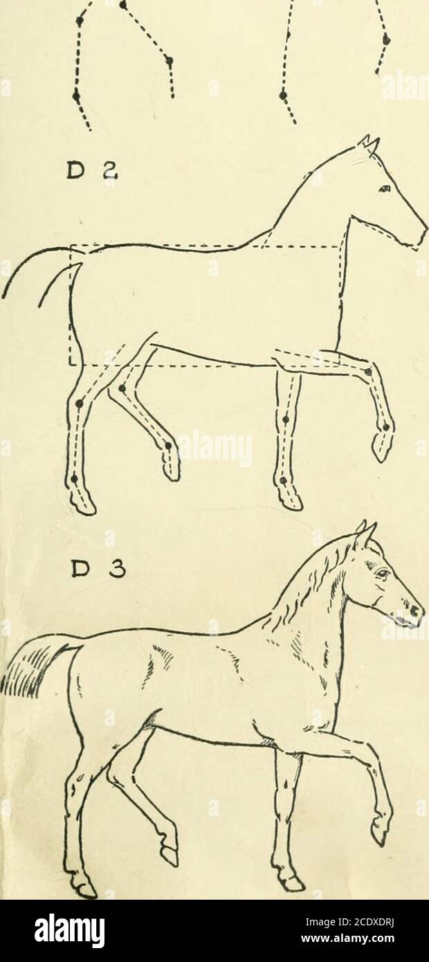 learn how to draw horses with simple techniques: simple steps horse drawing  books for adults, kids, boys, and girls of all ages, comes With space to