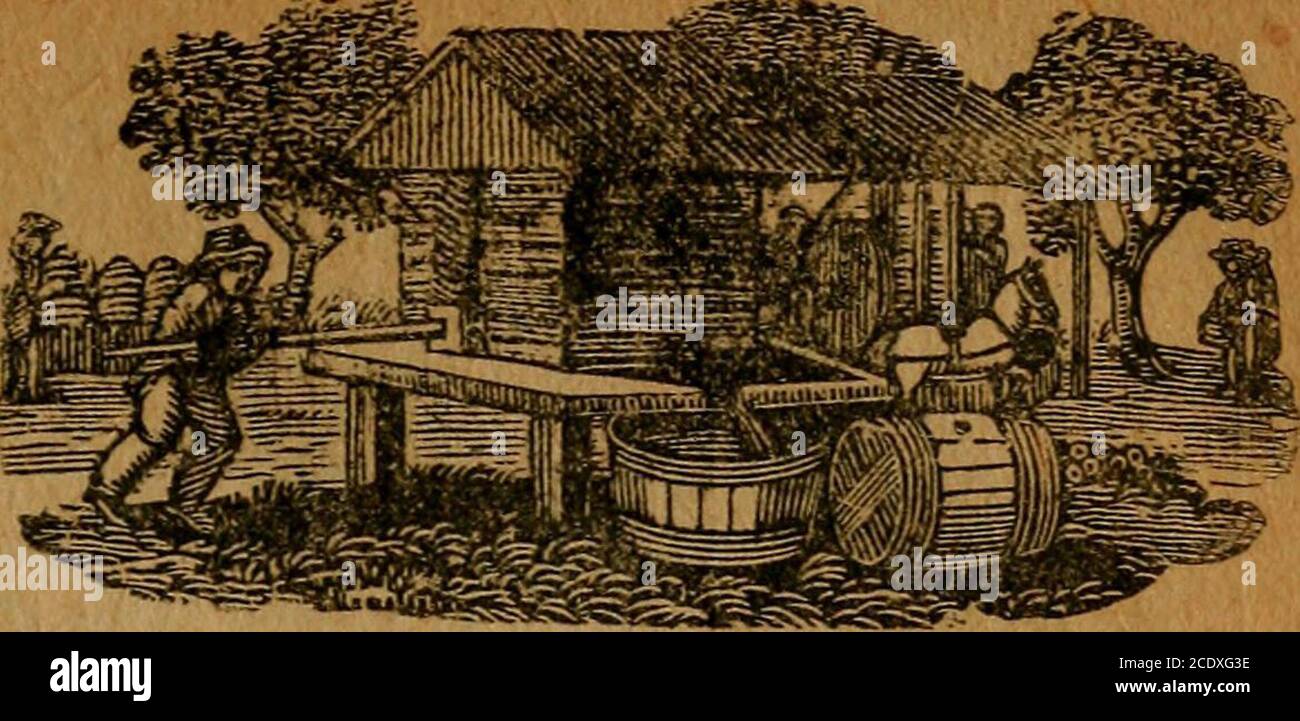 Page 8 She Replied High Resolution Stock Photography And Images Alamy