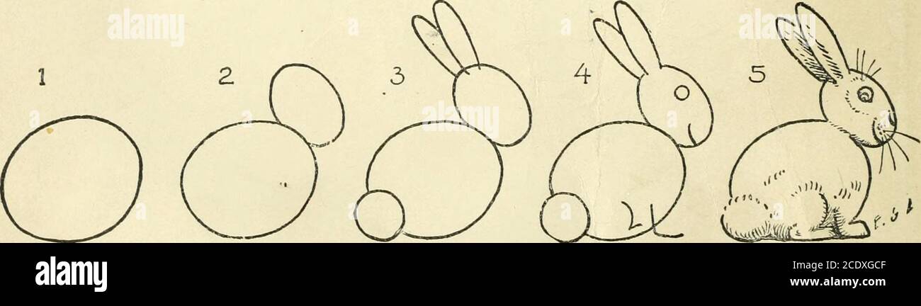 How to Type a Bunny: 15 Steps (with Pictures)