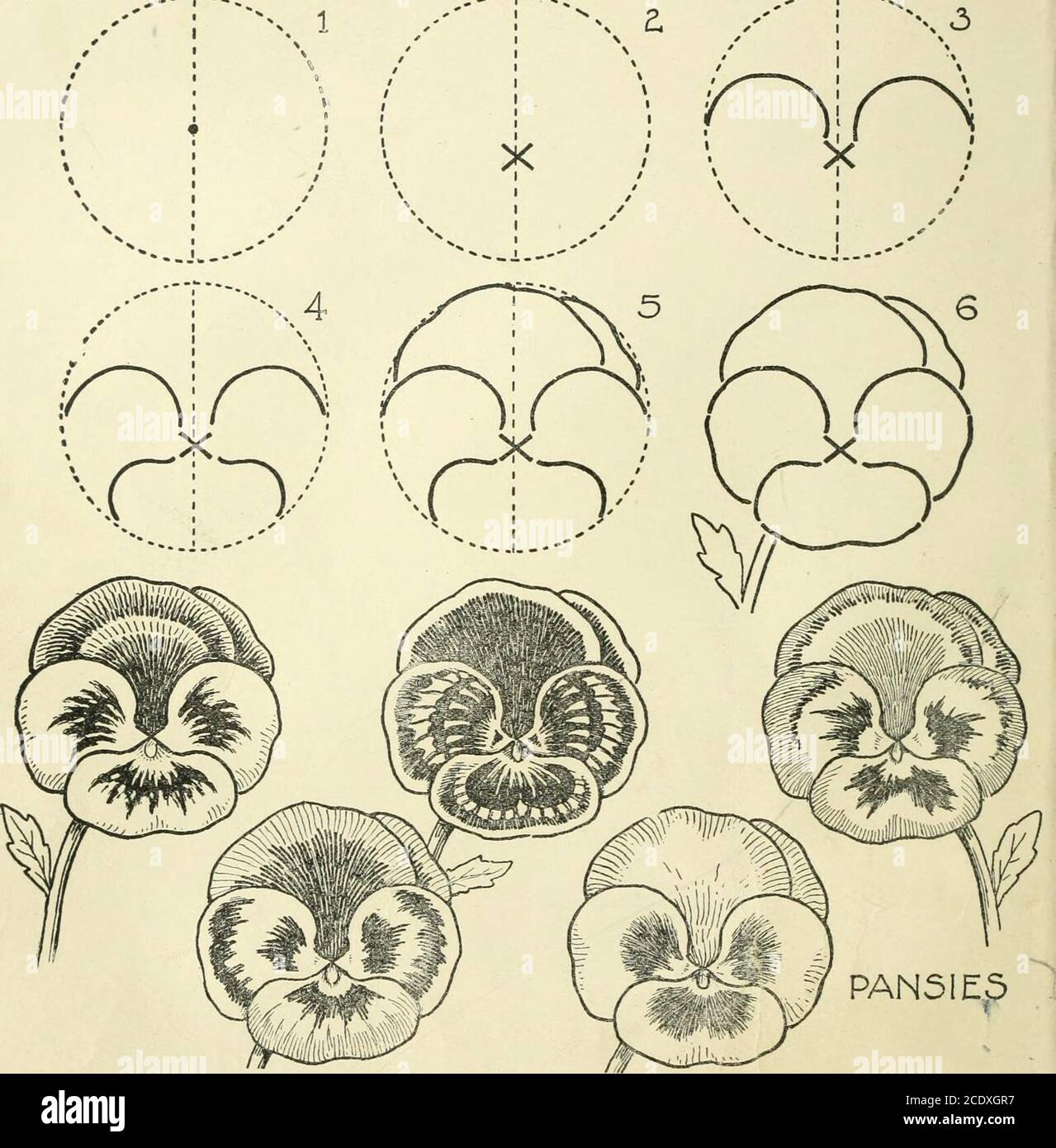 drawing-made-easy-a-helpful-book-for-young-artists-the-way-to