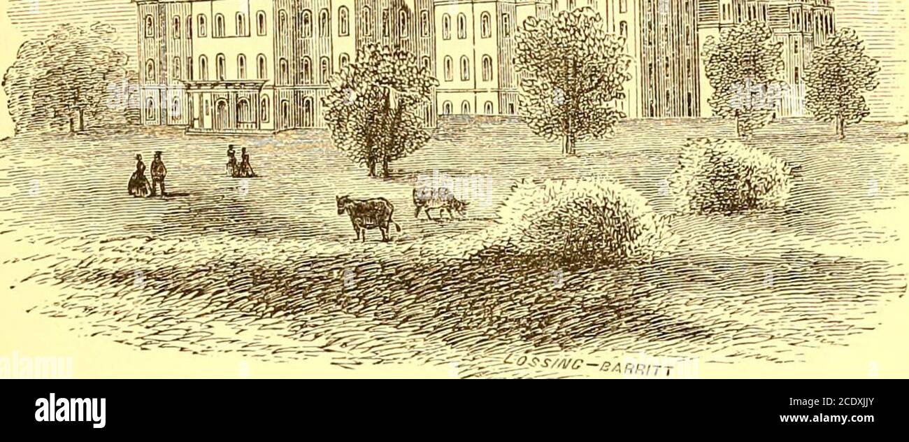 . Manual of the corporation of the city of New York, for the years .. . AA miil^M,. emigrants hospital, wards island. COMMISSIONERS OF EMICLIATION. Organized by Act of Li^gislature, May 5, 1847. Office, Castle Garden. Guliaa C. Verplanck, President.Wilson G. Hunt, Vice-President. Isaac T. Smith. John P. Gumming. Cyrus H. Loutrel, Fred. S. Winston. Eichard OGorman, Pres. Irish Em. So&y, ex officio. Philip Bissinger, Pres Ger. Soc^y, John T. Hoffman, Jfayor o/iVew York, Samuel Booth, Mayor of Brooklyn, Bernard Casserly, Secretary and General Agent. James P. Fagan, Superintendent of Wards Island. Stock Photo