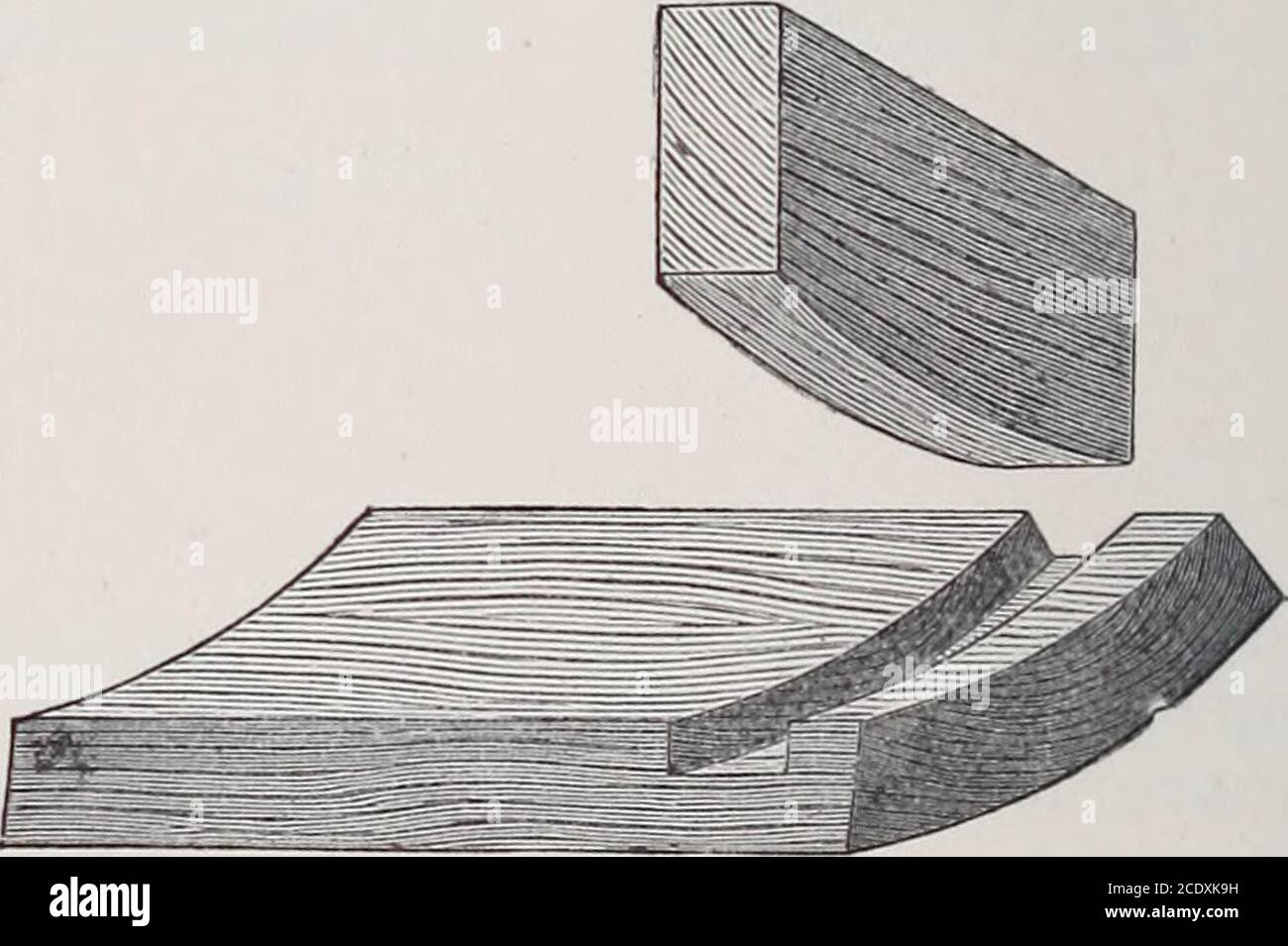 . Teacher's handbook of Slöjd . firmerchisel; oldwomanstooth-plane ;dove-tail saw. 1. The slot is set out with compass, square, and bevel. 2. The depth of the groove is set out with the marking- gauge, and cut out with the knife and firmer chisel. 3. The slot is sawn out with the dove-tail saw, and cut out with the firmer chisel. 4. The parts are fitted together with the aid of the firmer chisel. The groove is set out with compass, square, marking-point, bevel, and cutting-gauge; and cut out withknife, tenon-saw or groove-saw, firmer chisel, and oldwomans tooth-plane. The shape of the dove-tai Stock Photo