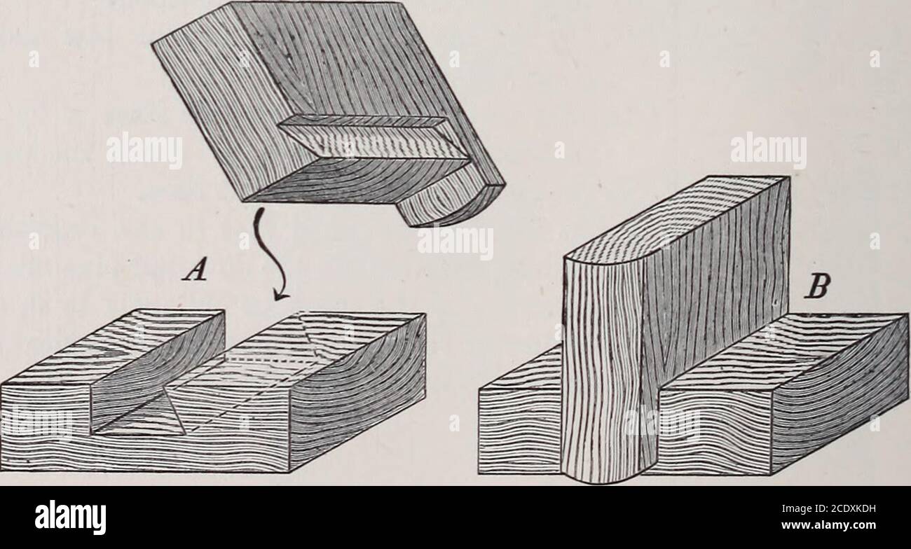 . Teacher's handbook of Slöjd . Fior. 119. Notched dove- | To insert a dove-tail, the outer edge of whichtailing (half conceals the groove, into a piece of wood. concealed edgegrooving).. Ym. 120. 177 Tools required. Directions for Work. Compass;square;bevel;marking-gauge ; knife;firmer chisel;dove-tail saw. Compass;square; mark-ing-point ;bevel; cut-ting gauge;knife; tenon-saw or groove-saw ; firmerchisel; oldwomanstooth-plane ;dove-tail saw. 1. The slot is set out with compass, square, and bevel. 2. The depth of the groove is set out with the marking- gauge, and cut out with the knife and fi Stock Photo