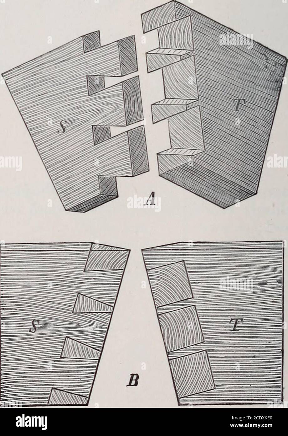 . Teacher's handbook of Slöjd . Lock-fitting. 79 Oblique dove-tailing. To make a rectangular end-joint withoblique pieces of wood.. Fig. 118. 175 Tools required. Directions for Work. Pin-bit; firmerchisel; knife:bradawl;screwdriver;compass-saw. Bevel; dove-tailsaw; com-pass; square;tenon-saw;firmer chisel;smoothing-plane. 1. The position of the lock is decided on. 2. The place is cut out with the pin-bit and the firmer chisel to a depth which permits the metal plate to lie on thesame plane as the wood. 3. The hole for the key is cut out with the centre-bit, knife, and chisel. (In larger work w Stock Photo