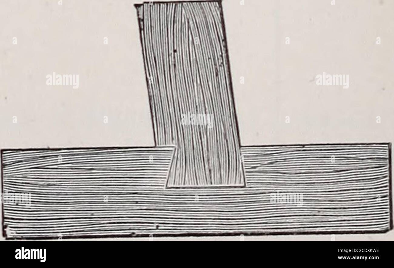 . Teacher's handbook of Slöjd . Fig. 110. To glue together with the aid of the hand-screw. To saw out a hole in a piece of wood.For description see page 86. To join two pieces of wood together bymeans of a single dove-tail, at an ob-tuse angle.. Fig. HI. 167 Tools required. Directions for Work. Cutting-gauge;knife; firmerchisel; (plough), Handscrew. Centre-bit;compass-saw. Compass;square;markinof-point; bevel;cutting-knife;gauge;tenon-saw orgroove-saw;firmer chisel;old womanstooth-plane;smoothing-plane. 1. The groove is set out with the cutting-gauge. 2. It is cut out with the knife and the fi Stock Photo