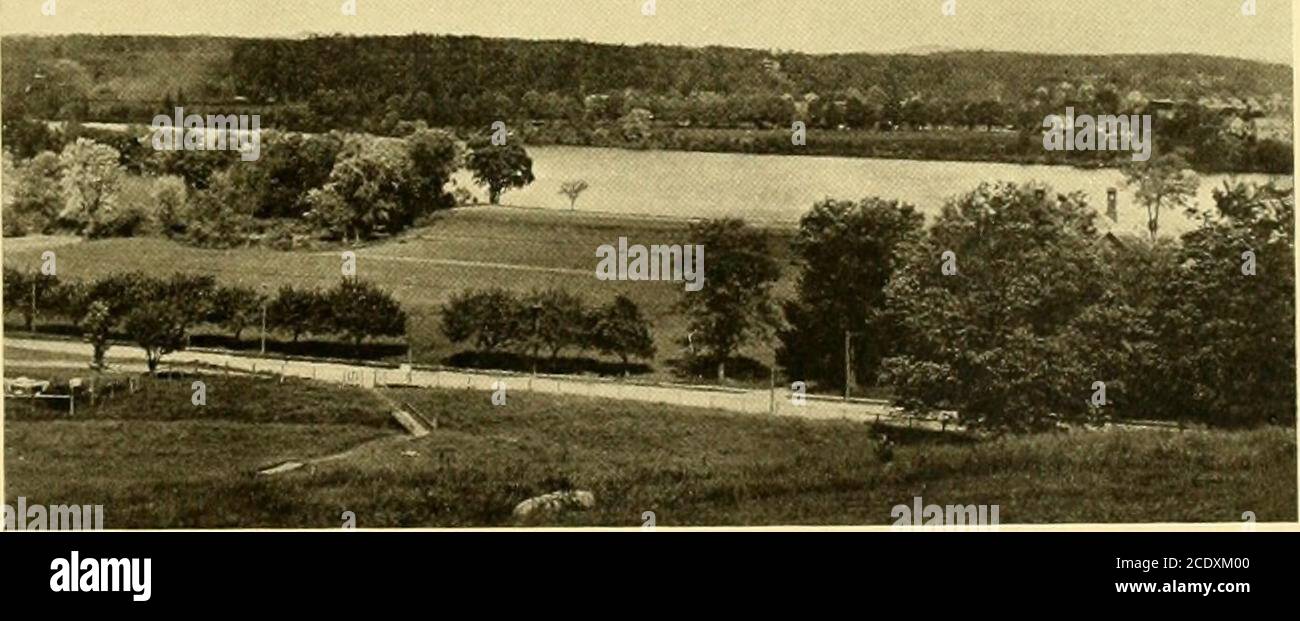 . Springfield present and prospective; the city of homes . illiiiil ...