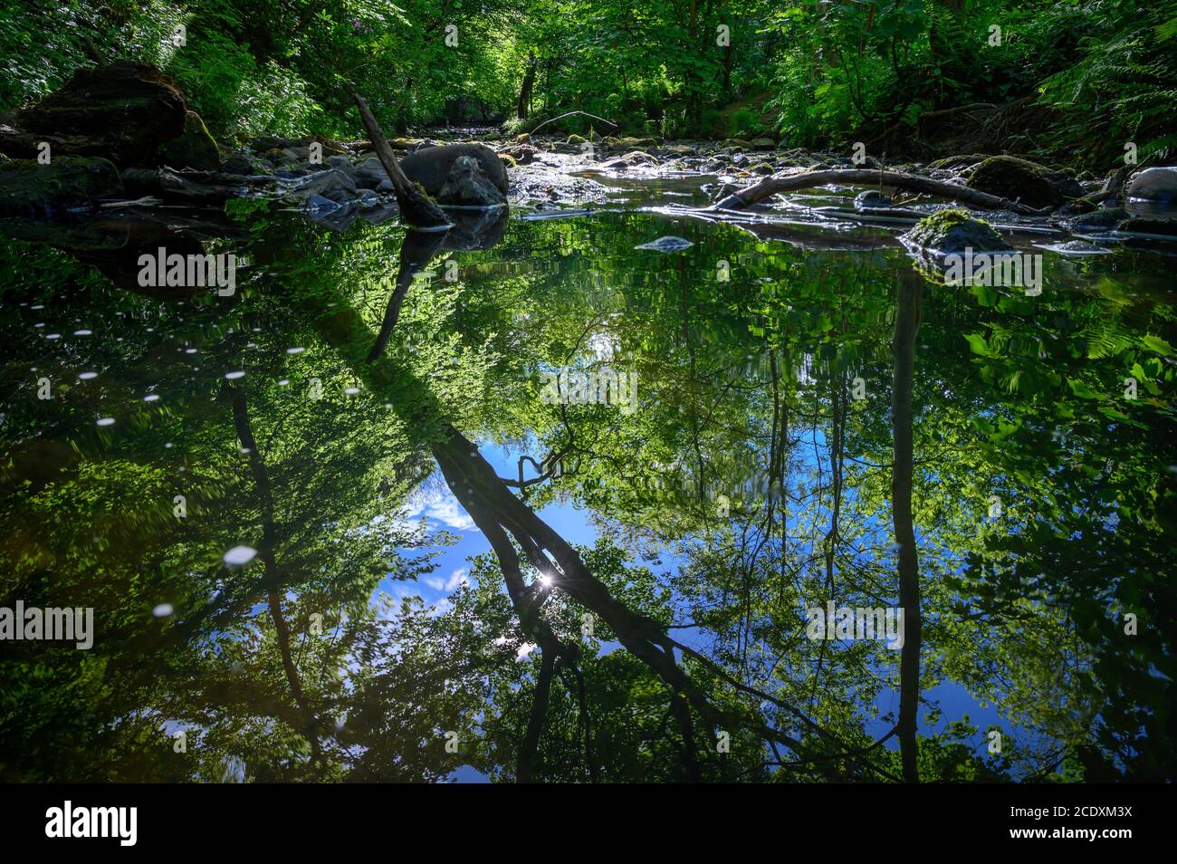 Worsley Woods, Worsley, Manchester Stock Photo Alamy