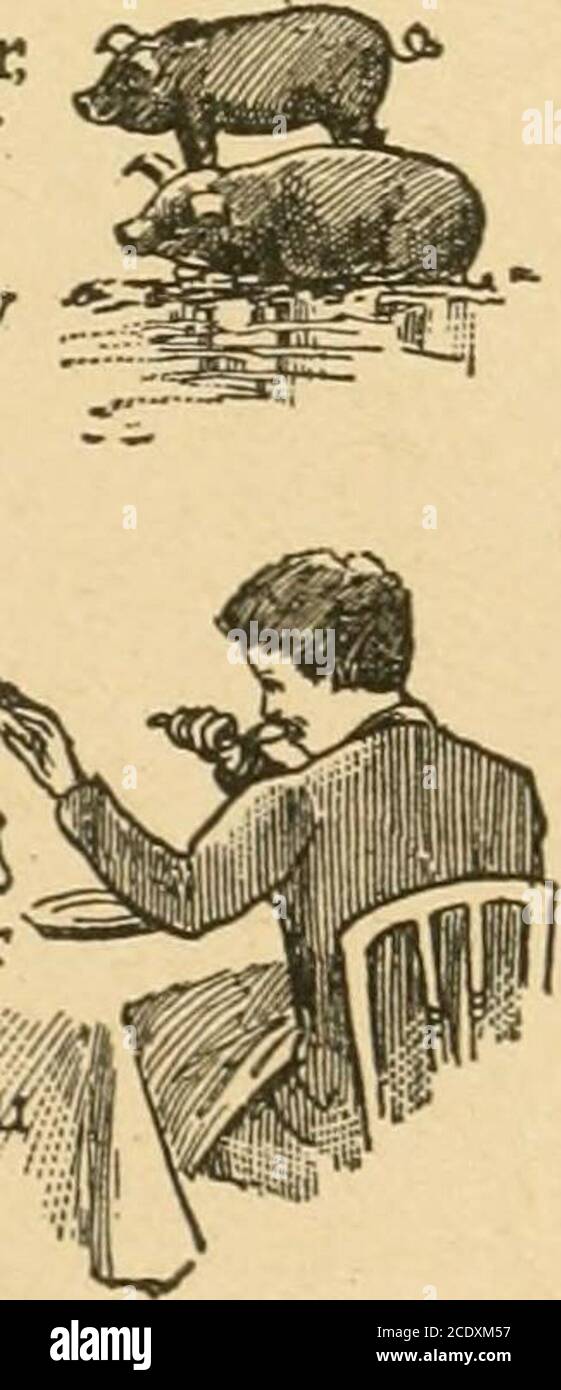 . Home and health; a household manual containing two thousand recipes and helpful suggestions on the building and care of the home in harmony with sanitory laws .. . —TO 562 Home and Health Habit, with its iron sinews, Clasps and leads us day by day.—Lamartine or Stock Photo