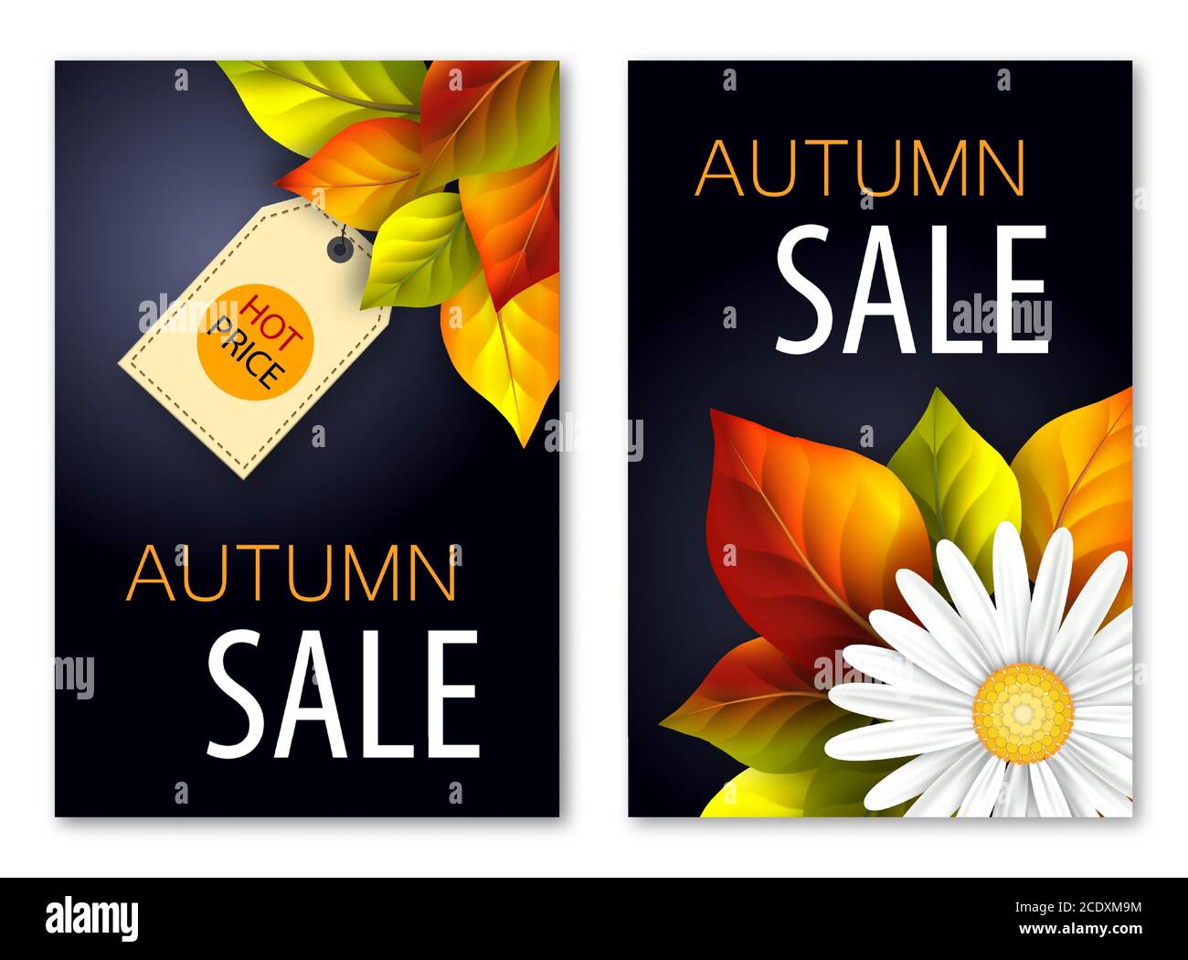Set of autumn sale banners with realistic flowers and fall leaves ...