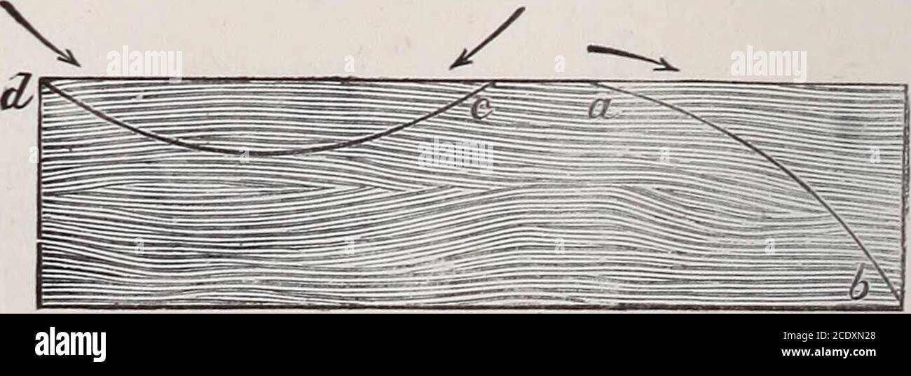 . Teacher's handbook of Slöjd . hen pare the endlevel. For the proper position of the body, see Plate I. 128 £ o J- Name of Exercise. Purpose and Description of Exercise. Oblique cut. Bevel cut. Saiving off. Convex cut To cut a piece of wood obliquely to thefibres. This exercise is simply a variation of Ex. 1and 2. The cut is not made with thegrain, nor at right angles to it, butdiagonally across it. Its name de-scribes it. To bevel the edge of a rectangular blockof wood both with and against thefibres ; e.g., a square block of woodcould be made octagonal by bevellingthe edges. To saw ofi a pi Stock Photo