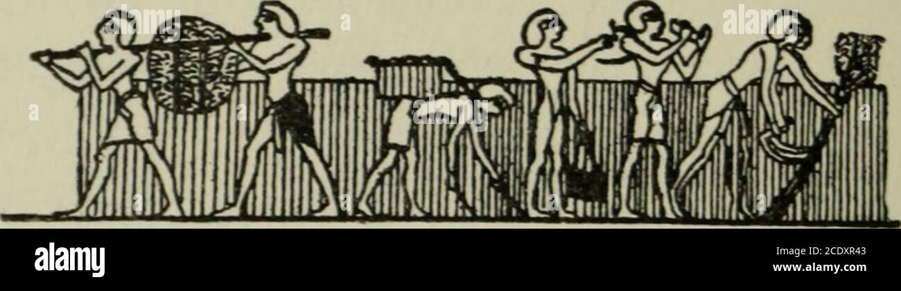 . Kings and gods of Egypt . Fig. II.—A Goats-Skin. Fig. 12.—Sharing the Drinking-Cup (Vlth Dynasty). among the hundreds of similar scenes that havebeen found in mastabas and hypogea and are yetunpublished, there will turn up ploughing-sceneswhich correspond to the one described in Homer. Harvest 2 Furthermore he set therein a demesne-land deep incorn, where hinds were reaping with sharp sickles in theirhands. Some armfuls along the swathe were falling inrows to the earth, while others the sheaf-binders werebinding in twisted bands of straw. Three sheaf-binders Lepsius, Denkmdler, ii, 106 b. 2 Stock Photo