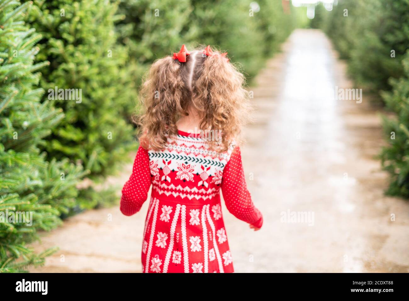 Little girl in red dress at the Christmas tree farm Stock Photo - Alamy