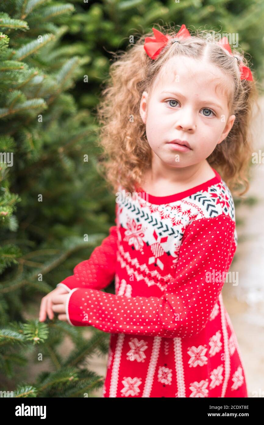 Little girl in red dress at the Christmas tree farm Stock Photo - Alamy