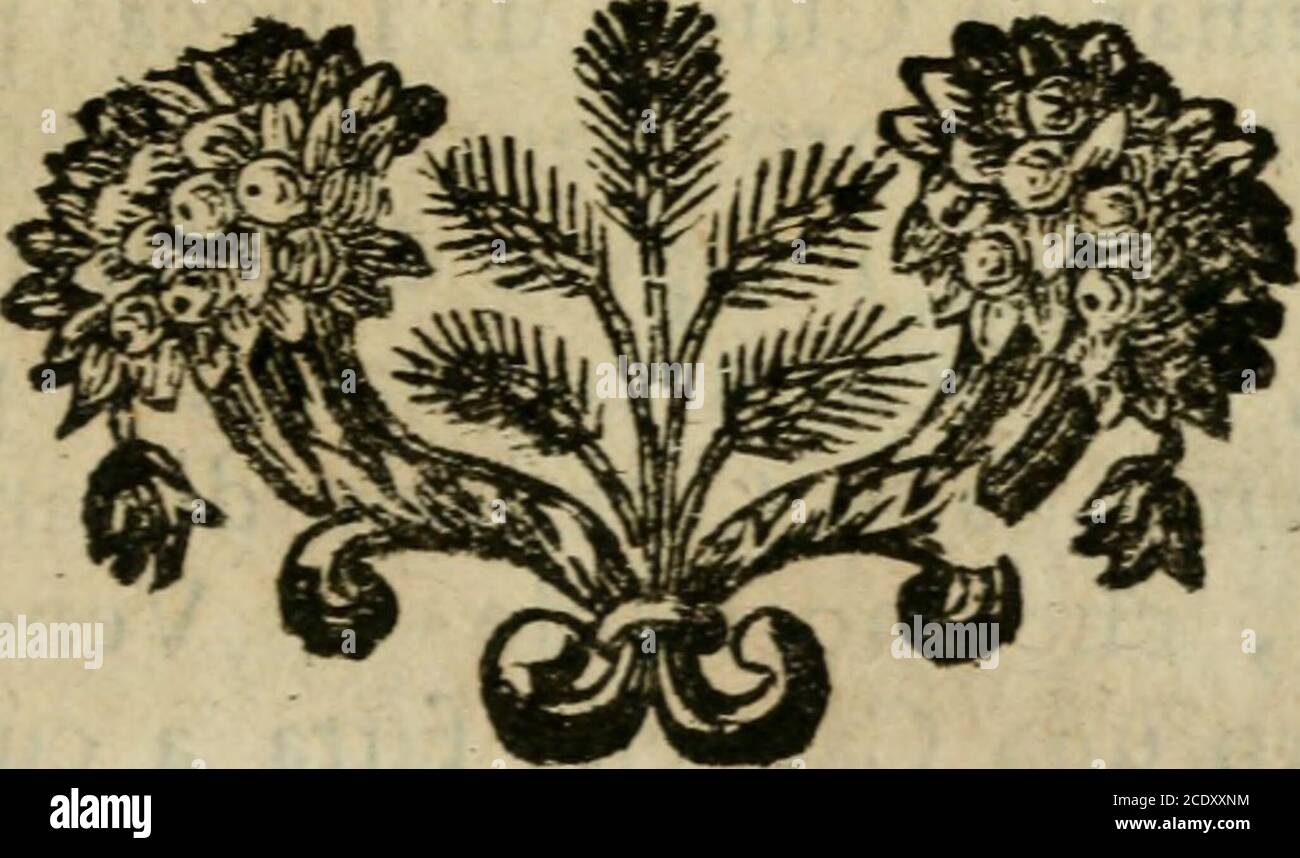 Il Forestiere Informato Delle Cose Di Lucca Opera Poco Diverfamente Vkn Repli Cato Nel Ritornar