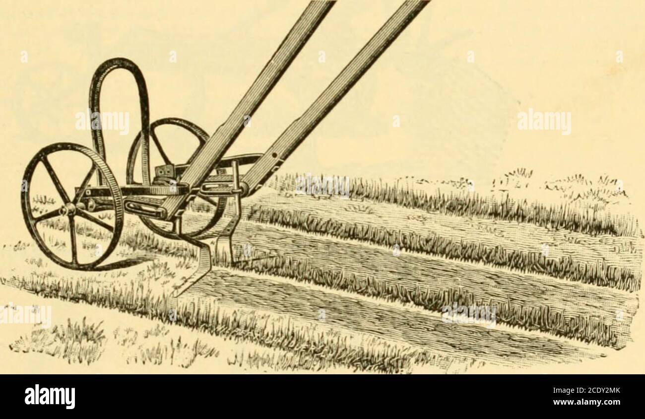 . Modern mechanism, exhibiting the latest progress in machines, motors, and the transmission of power, being a supplementary volume to Appletons' cyclopaedia of applied mechanics . Fio. 9.—Weirs tongueless cultivator. ment, by the alisence of a tongue. It has lateral adjustment of hitch to insure the properdirection for the wheels, in case the team used is unequal in size and step. Tke Deere Garden-IIoe (Fig. 10) has two short beams with handles adapted, to propel the. FiQ. 10. - Dueres garden hoe. machine with any of its different attachments, shown in Fig. 11. The handles are con-nected also Stock Photo