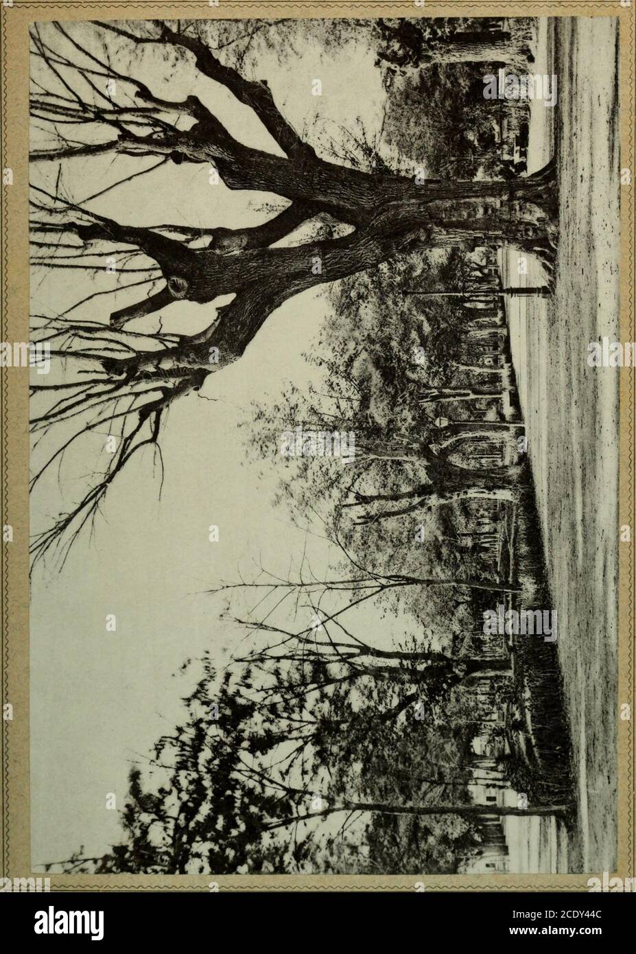El Plantio High Resolution Stock Photography And Images Alamy