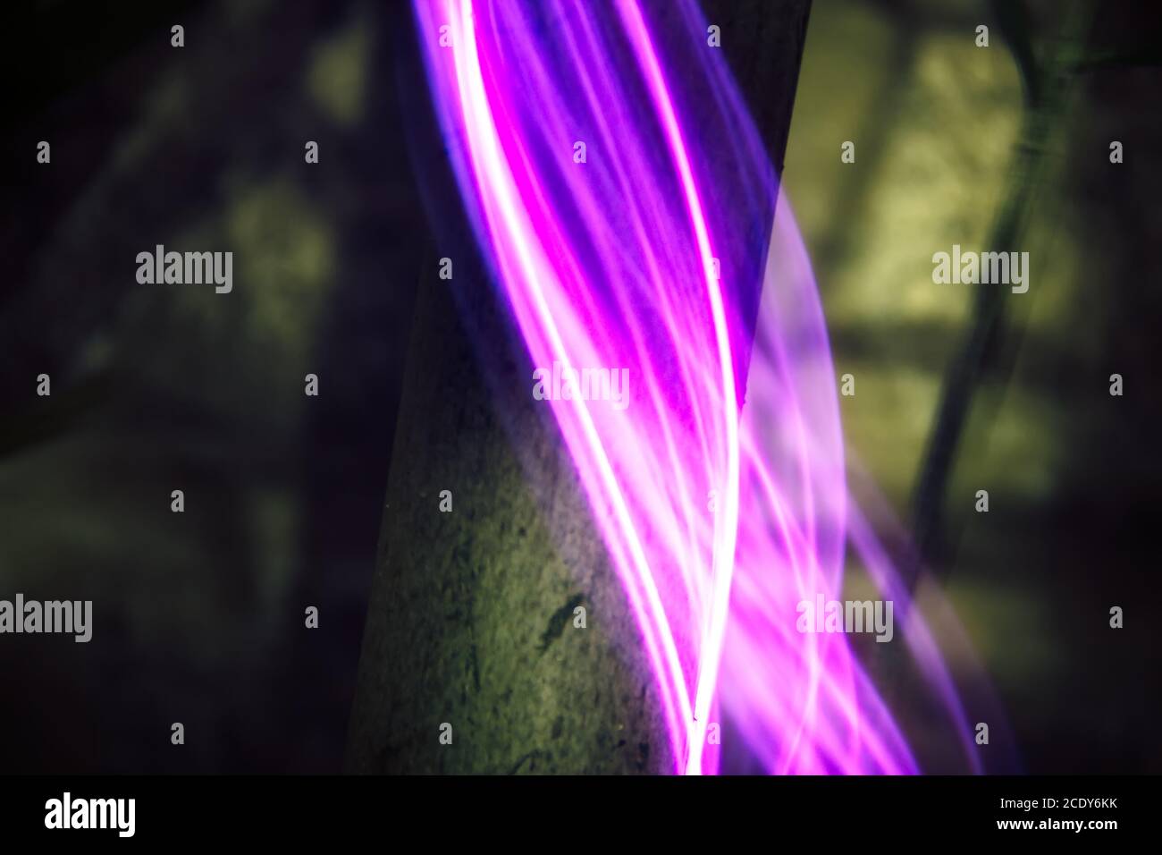 Palm tree trunk in neon light at night. Stock Photo