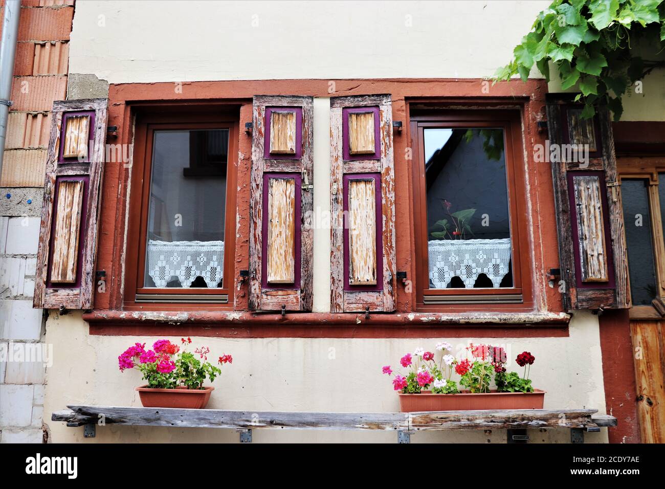 Flowers in windowsill hires stock photography and images Alamy