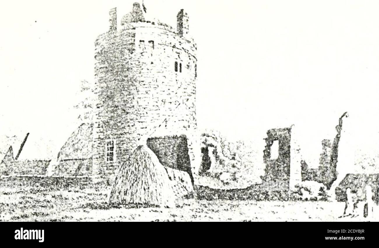 . History of the Queen's County . eill, having gained r.ver one-fourthof the garrison to revolt, seized on the governor and threatened to killhim if he did not surrender. For a long time he resisted and at len4hasked that he might go in person to treat with Castlehaven There^aneffort was made to gam him over by offering him Ins company in theLeinster army if he should consent to j(,in ,t. This offer he refusedhut at last, as the fort could no longer be held, he surrendered andwas allow(Yl a safe conduct for himself, his wife, brother, two menand a Inar, with horses, arms, and what goods of the Stock Photo