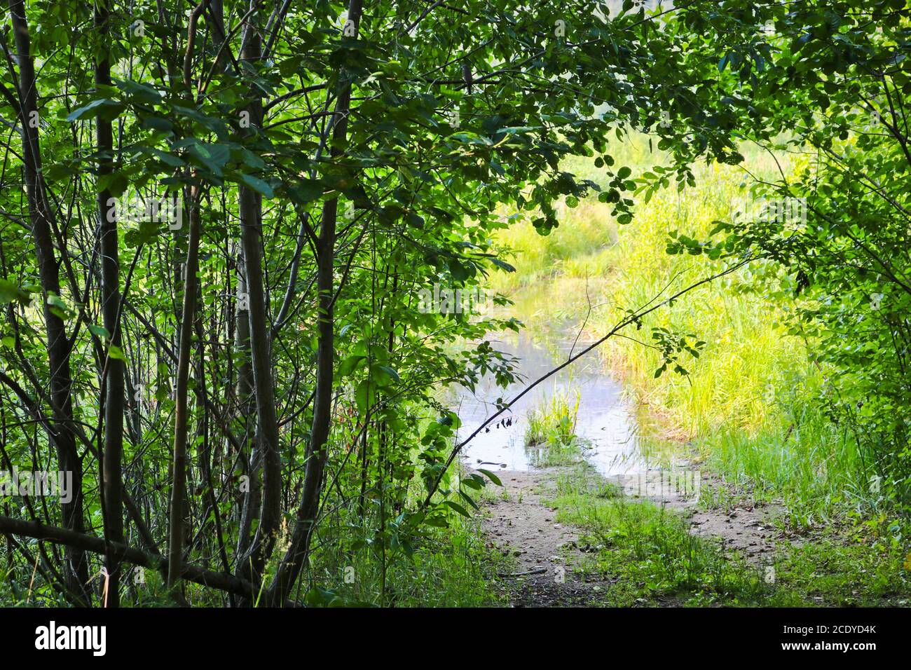 Sign flooded country road hi-res stock photography and images - Alamy