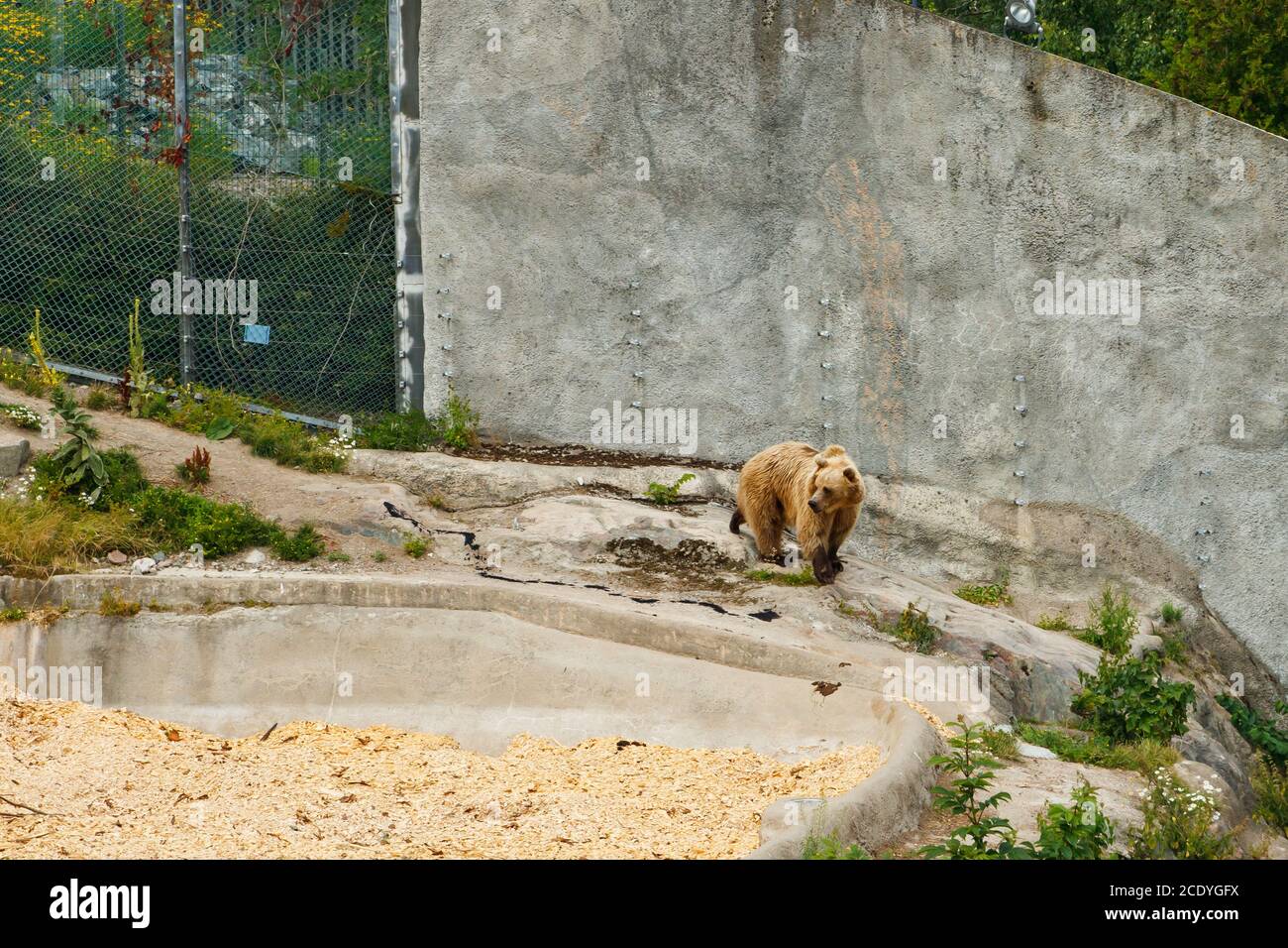 Korkeasaari zoo in helsinki hi-res stock photography and images - Alamy
