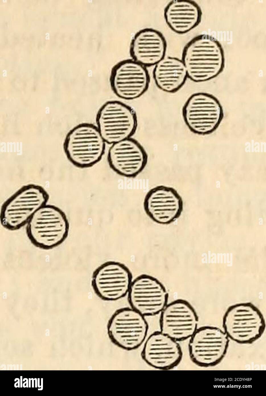 Godey S Lady S Book Poor Fellow Free Taking Out His Pocket Knife To Cut The Tape Which Bound Him He Gavehimself A Sharp Cut On The Finger Althoughmy Boy Was Now