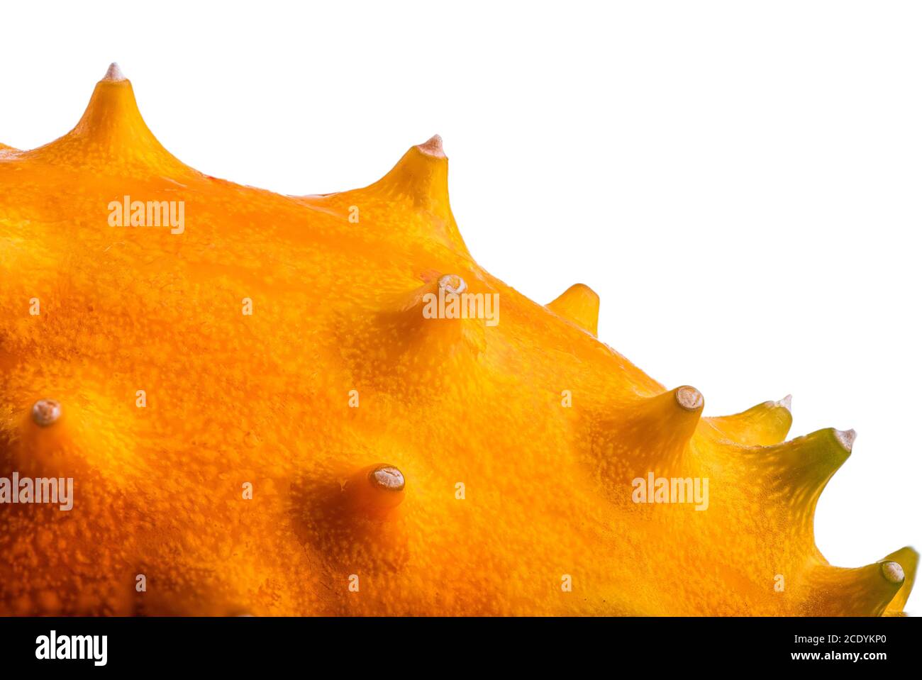 Kiwano or Horned Melon Cucumis metuliferus detailed skin shoot on white